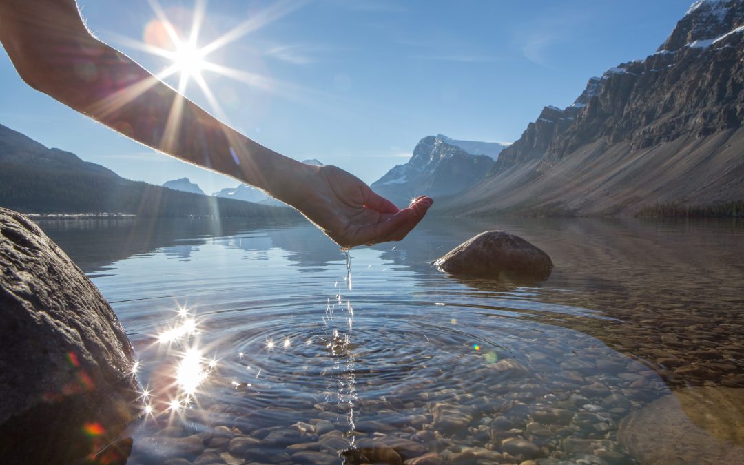 The Ultimate Guide to Clean and Ethical Beauty: Embrace a Sustainable Glow