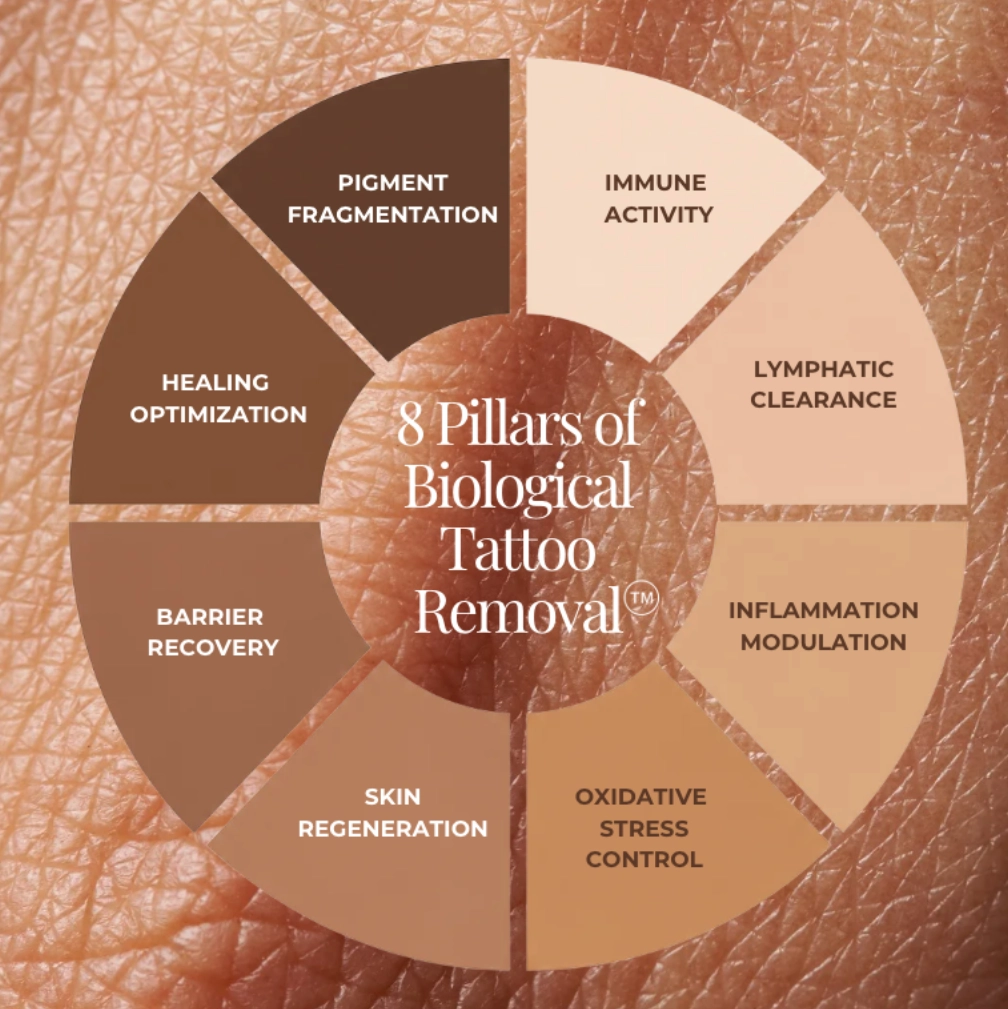 8 Pillars of Biological Tattoo Removal diagram: laser fragmentation, immune, lymphatic and skin-recovery phases at SkinScience - SkinScience 8 Pillars of Biological Tattoo Removal diagram: laser fragmentation, immune, lymphatic and skin-recovery phases at SkinScience - SkinScience